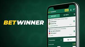 Explore BetWinner Bonus Offers and Promotions for Ultimate Betting Experience