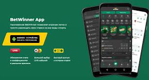 Comprehensive BetWinner Review Your Guide to Online Betting