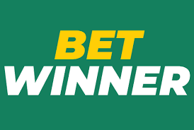 Discover BetWinner Your Ultimate Online Betting Platform