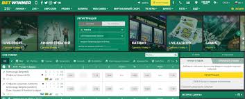 Explore the Exciting World of BetWinner Casino
